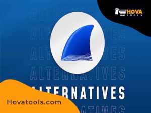 Read more about the article 11 Best Wireshark Alternatives Suitable for use
